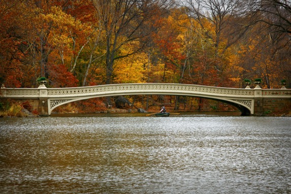 Central Park NYC Bridge