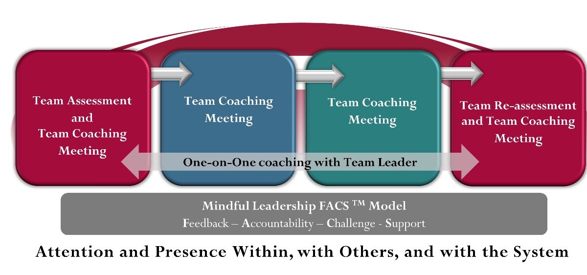 Team Coaching workflow